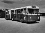 FBW Bus 1965 года